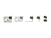 Доброго дня!
Предлагаю вам своё решение логотипа "proCATT".
В процессе работы...