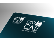 Доброго дня!
Предлагаю вам своё решение логотипа "proCATT".
В процессе работы...