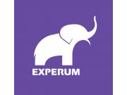 В качестве знака для логотипа Experum я создала силуэт слона, являющегося симво...