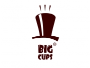 В логотип вкладывалась рекламная Big Idea, которая может развиваться в любых ко...