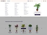 Современный сайт для продажи растений.
