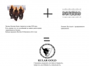 Логотип соединяет в себе образ редкого животного - бизона и народный якутский о...
