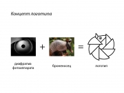 Концепция:
диафрагма фотоаппарата + броненосец = графический элемент логотипа
...