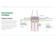 Изображения выполнены по эскизу заказчика в строгом стиле, применимом для презе...