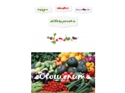 Как Вы сами заметили в описании питча, лого уже содержит овощи. Я предлагаю исп...