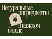 Развиваю первоначальную идею с аркой, добавив иллюстрацию горы. Логотип, на мой...