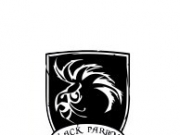 Брутальный логотип с узнаваемым образом попугая. Форма герба удорожит образ ком...