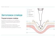 Доработала изображения по комментариям заказчика. 1 иллюстрация: 1. Исправила т...