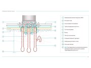 Доработала изображения по комментариям заказчика. 1 иллюстрация: 1. Исправила т...