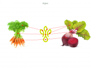 Сама идея знака изначально была изобразить структуру овощей (4 слайд). Современ...