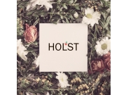 Вариации логотипа Холст. 