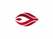 Идея логотипа - всевидящее умное око, глаз - украшение...
Знак отражает оба на...