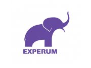 В качестве знака для логотипа Experum я создала силуэт слона, являющегося симво...
