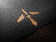 Логотип представляет собой самолет и галстук,которые образуют заглавную букву "...