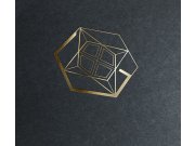 Логотип представлен в виде проекции бриллианта. Немного геометризированный и за...
