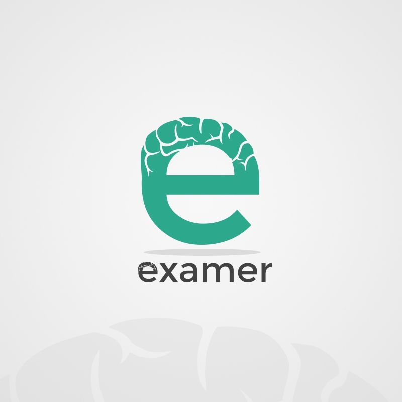 Экзамер. Examer. Examer логотип. Examer картинки. Экземер.