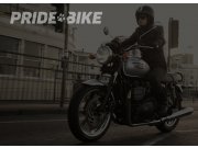 Классический мотоциклетный шлем + лапа Прайда)