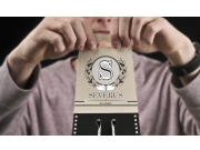 Здравствуйте Дмитрий, хочу представить логотип Severus. Основная идея - заключа...